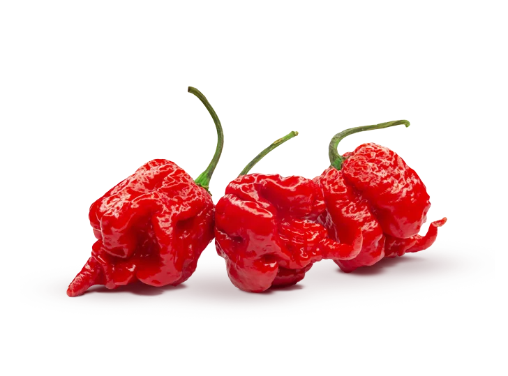 Carolina Reaper Extract