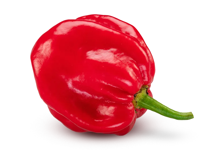 Habanero Extract