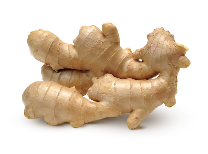 Ginger Extract