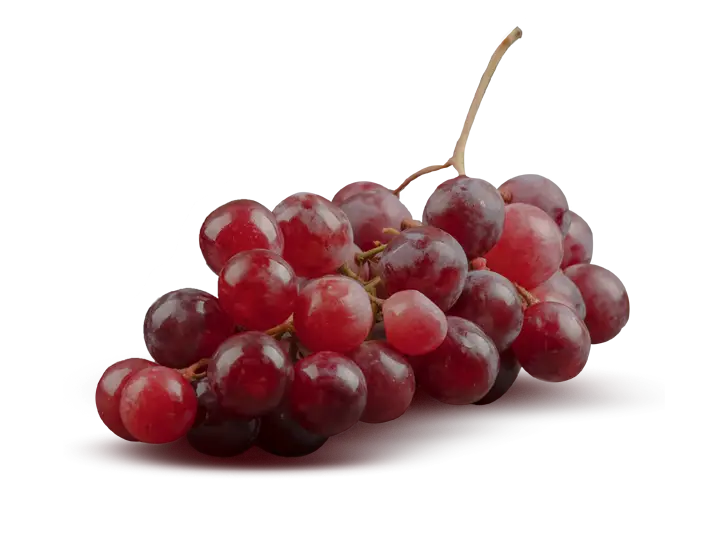 Grape Extract